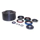 Viscous Coupling & Seal Kit