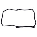 Door Weatherstrip (Left)