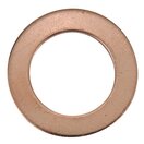 Brake Master Cylinder Washer (Inner)
