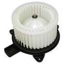 Blower Motor
