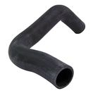Radiator Hose (Lower-Outlet)