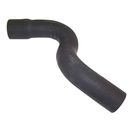 Radiator Hose (Lower-Outlet)