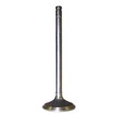 Exhaust Valve (Std)