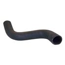 Radiator Hose (Lower-Outlet)
