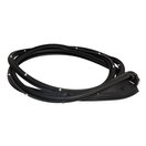 Door Weatherstrip (Front Left)