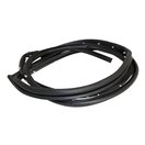 Door Weatherstrip (Rear Right)