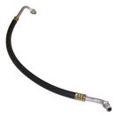 A/C Hose (Evaporator to Compressor)