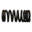 Valve Spring