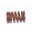 Intake Valve Spring