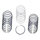 Piston Ring Set (.010)