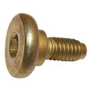 Brake Caliper Screw (Front)