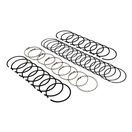 Piston Ring Set (Std)